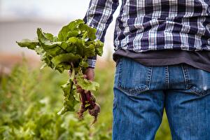 A gastronomic odyssey through the wonders of the Peloponnese