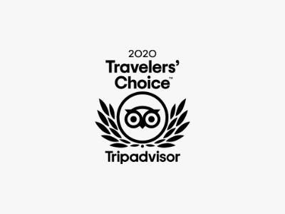 TRAVELERS' CHOICE AWARD 2020