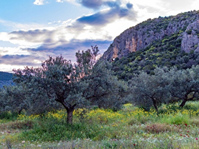 PYRGIOTIKA VILLAGE